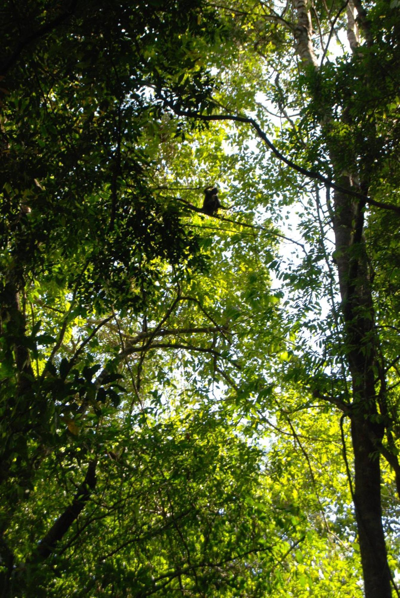 Finca Vallescondido El Caobano Extérieur photo